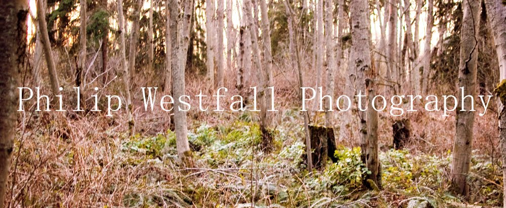 Philip Westfall Photography