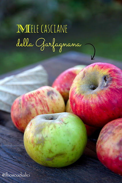Tortine di mele casciane della Garfagnana