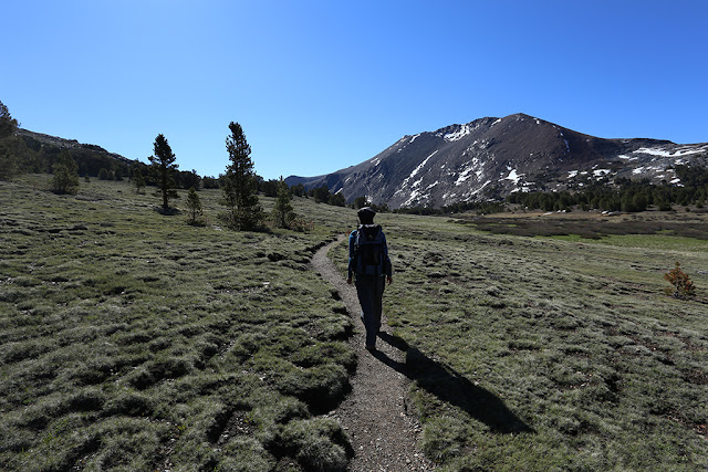 Meadow Trail