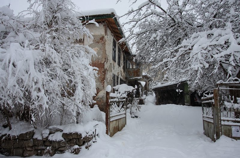 bulgaria winter