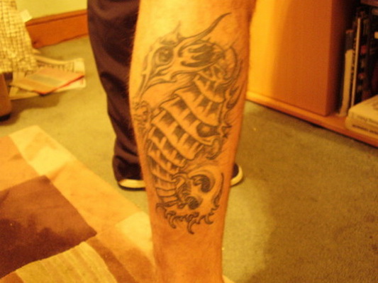 Seahorse Tattoo Animal Tattoo Designs Gae Imagenes