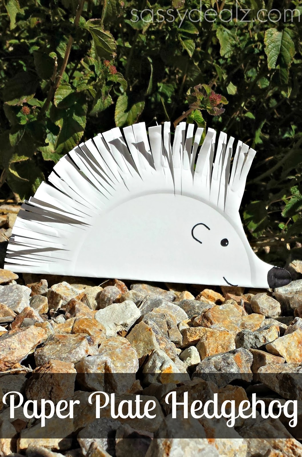 paper plate hedgehog craft