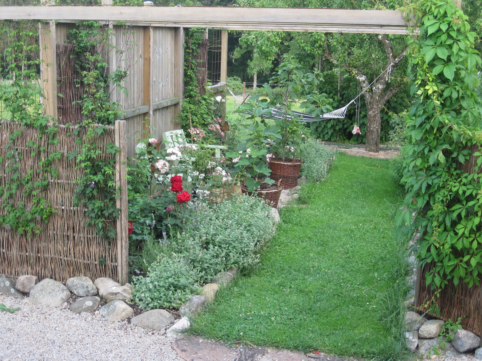 1000+ images about woodland garden design ideas on Pinterest | Woodland