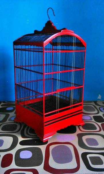 Jual Sangkar Ukir Murah Kacer Cucak Ijo Kenari Model Kotak Dan