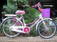 City Bike Everbest 905-2 24 Inci