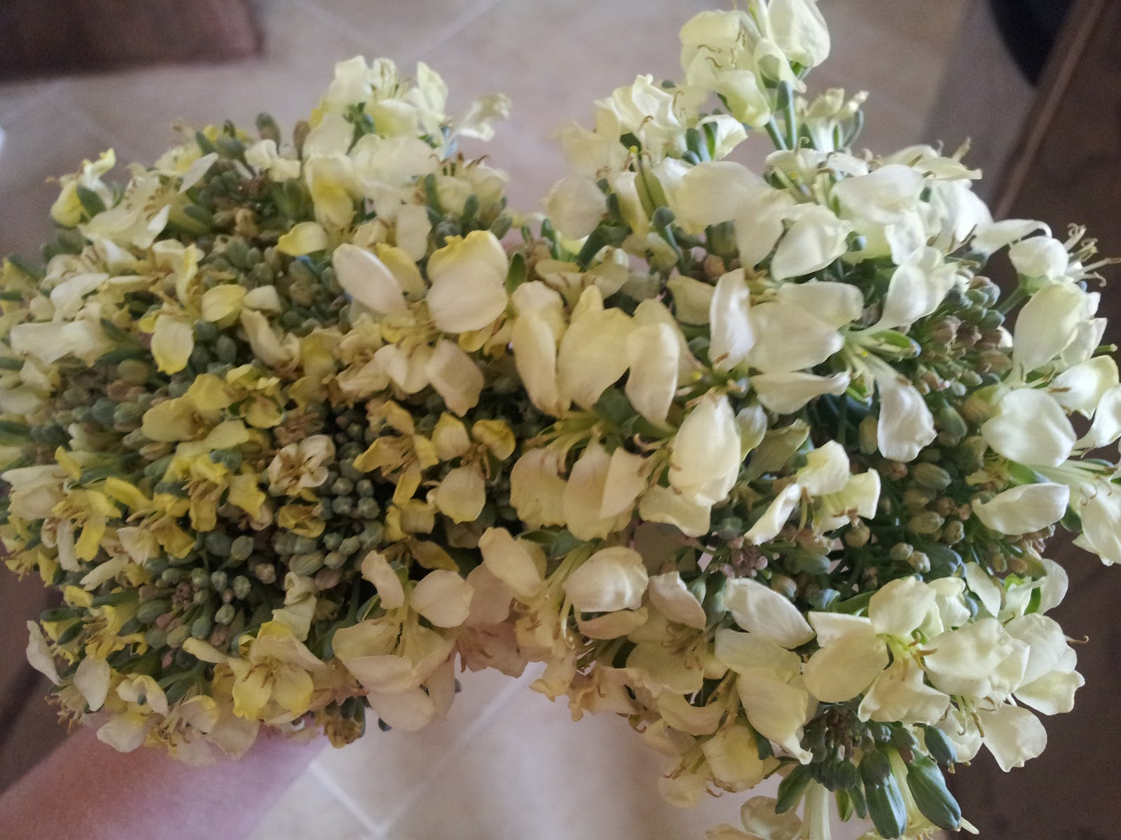 My Fruitful Life How to cook broccoli that has flowered