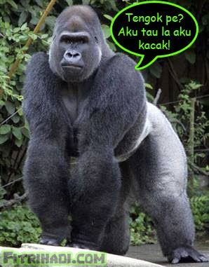 gambar gorila corning gorilla glass