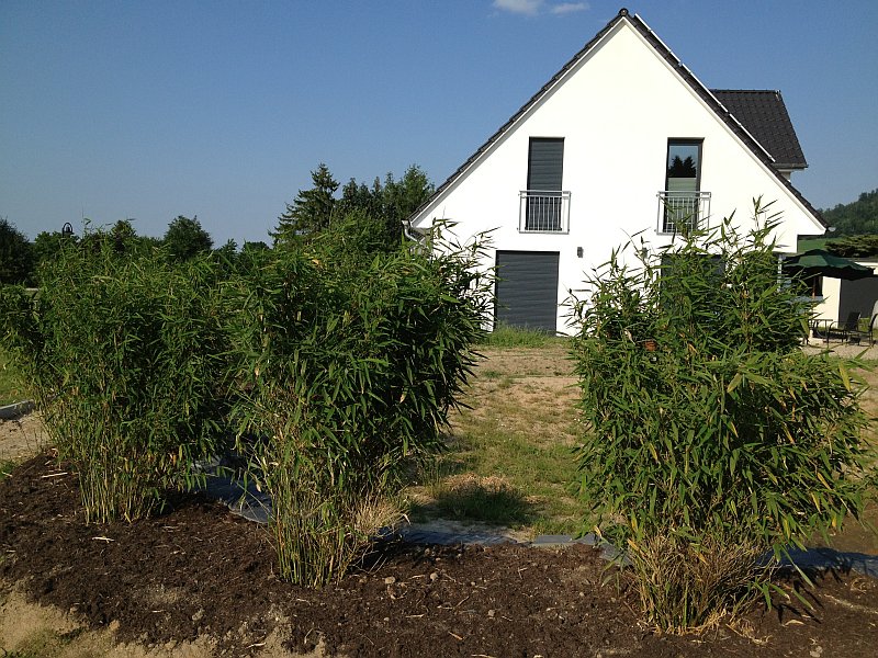 Mein Baublog Juni 2013