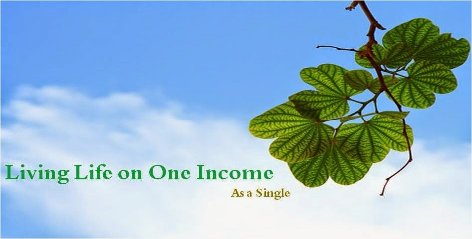 Living Life on 1 Income as a Single