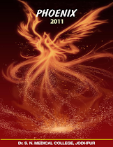 Phoenix-2011 (Compiled)