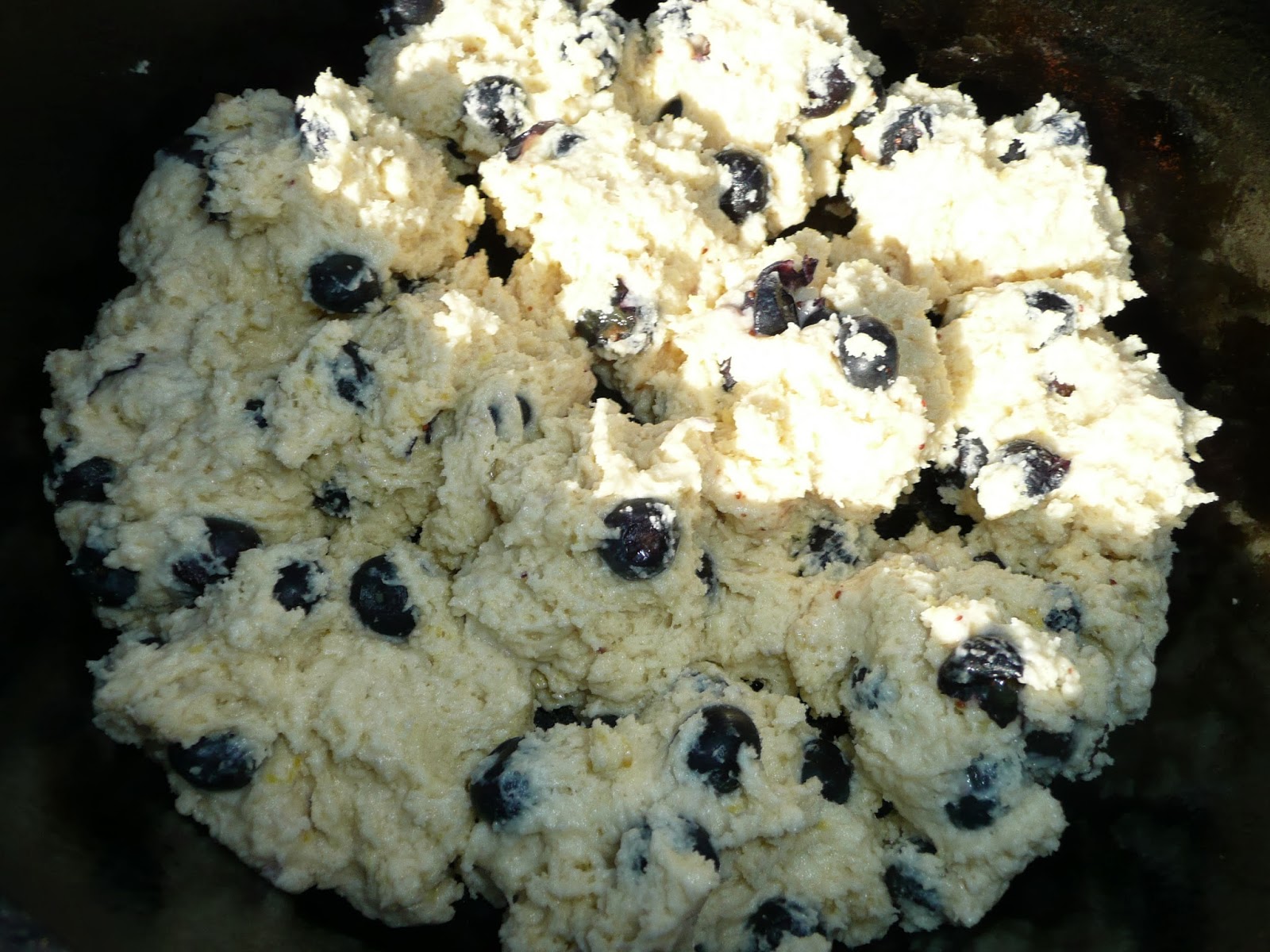 Everyday Dutch Oven Lemon Blueberry Biscuits