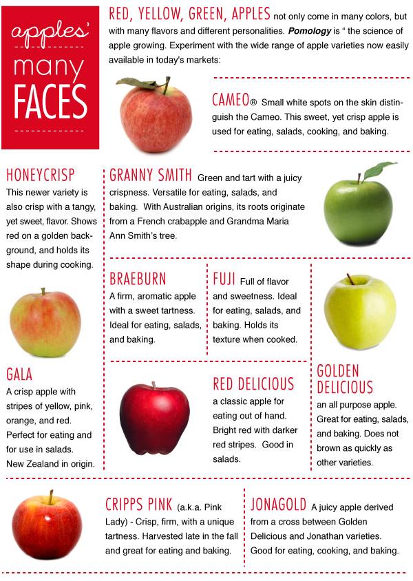 All You Need To Know About Apples: 7 Types Of Apples For Cooking