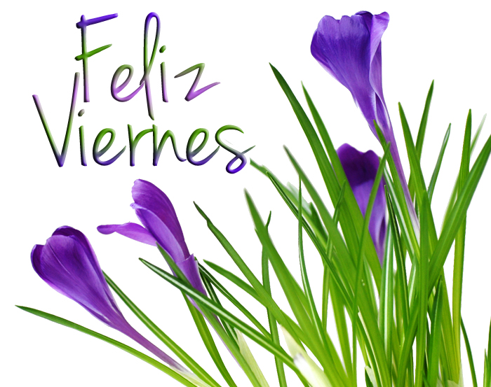 Resultado de imagen de feliz viernes con flores