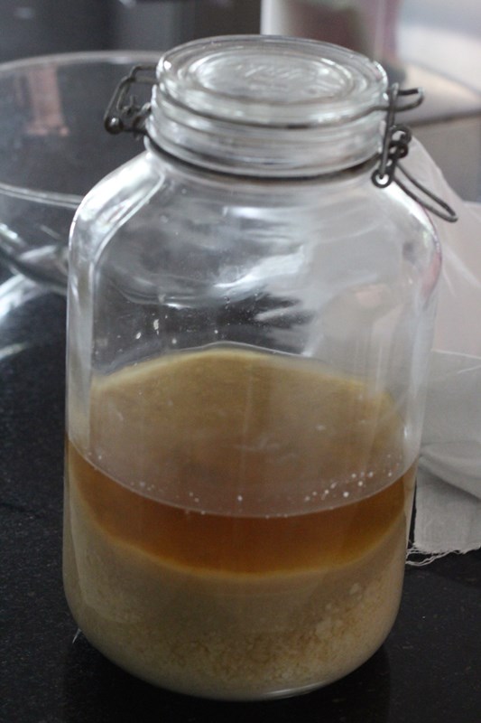 Nasi Lemak Lover Homemade Yellow Glutinous Rice Wine 自制黄酒