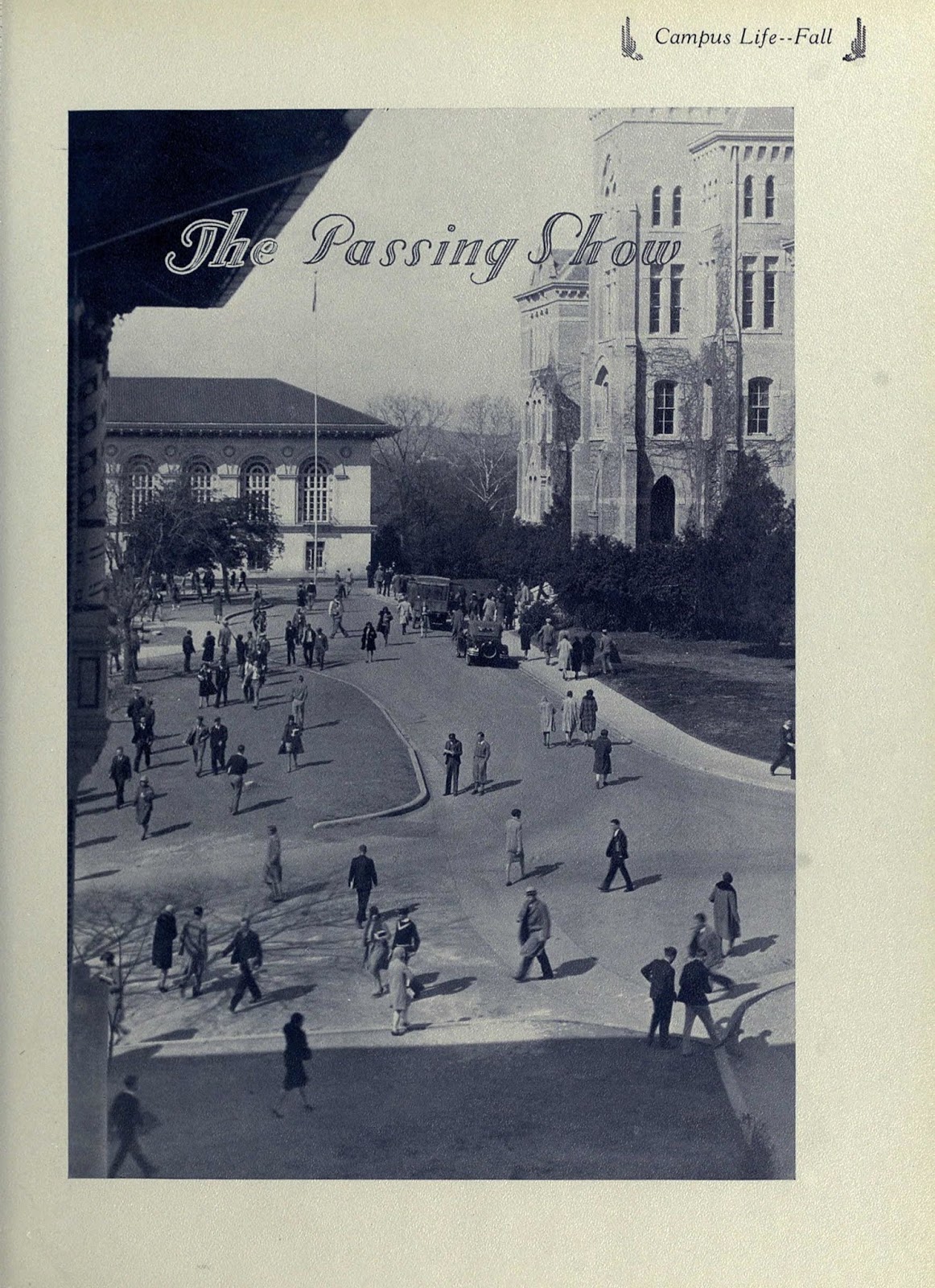 Watch Van Helsing - Season 2 - WatchSeries