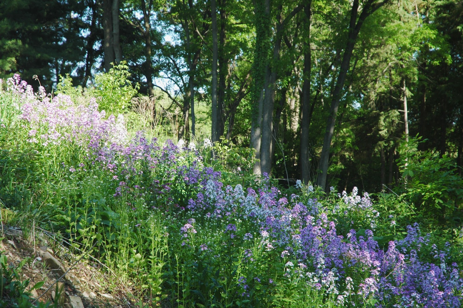 Somers Wisconsin Pioneer History Beautiful Wisconsin