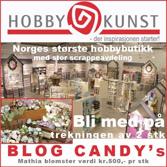 Se vår BlogCandy her!