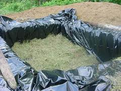 FUNDANDO UN PAÍS , PERMACULTURA Y AUTOSUFICIENCIA.TRANSICIÓN Y