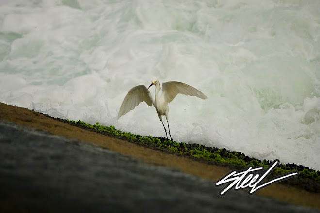 04 DE MAIO DE 2011 - ITACOATIARA