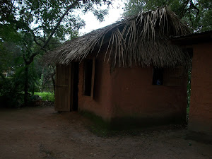 Historical Roatan mud house