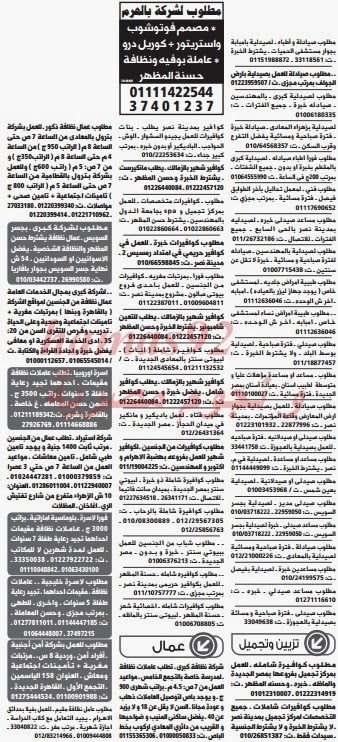 وظائف خالية من جريدة الوسيط مصر الجمعة 06-12-2013 %D9%88+%D8%B3+%D9%85+14