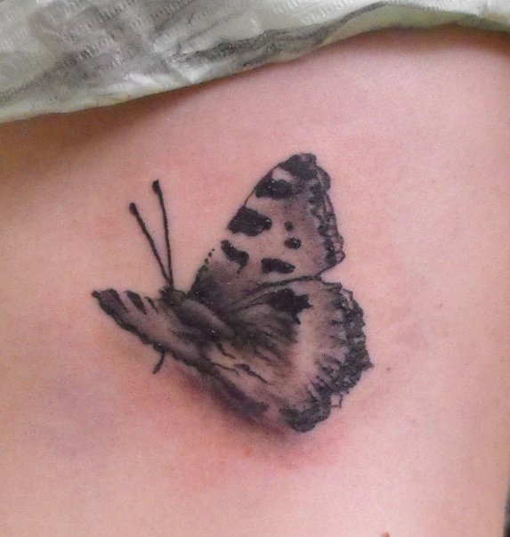3d tattoo designs are dragon tattoo, butterfly tattoo, spider tattoo ...