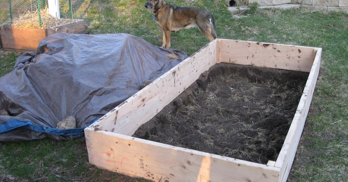 Red Bucket Farm Building Raised Beds