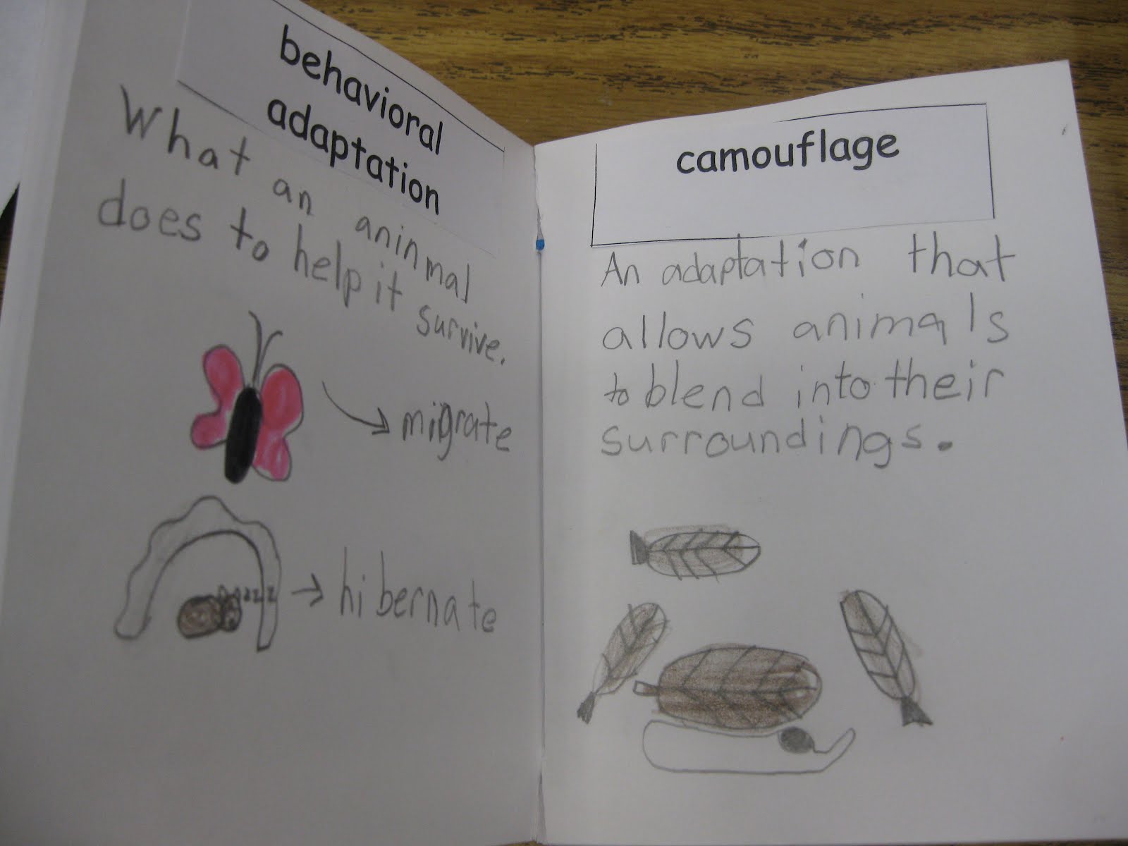 Third Grade Thinkers: March 2012