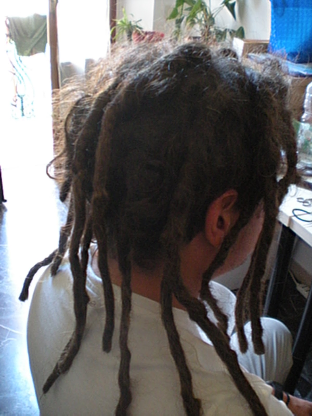 RASTA DREADLOCKS FIRENZE lavoro 1 restyling extensions capelli veri