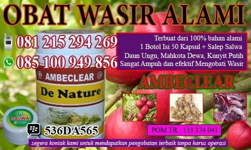 Obat Wasir Herbal