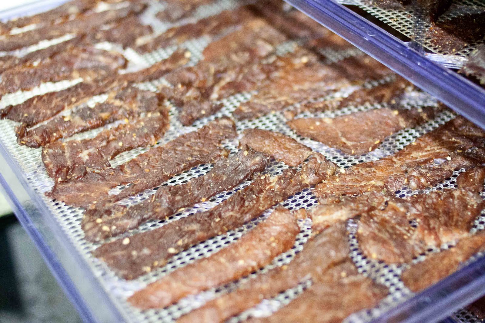 FOODjimoto Spicy Teriyaki Beef Jerky