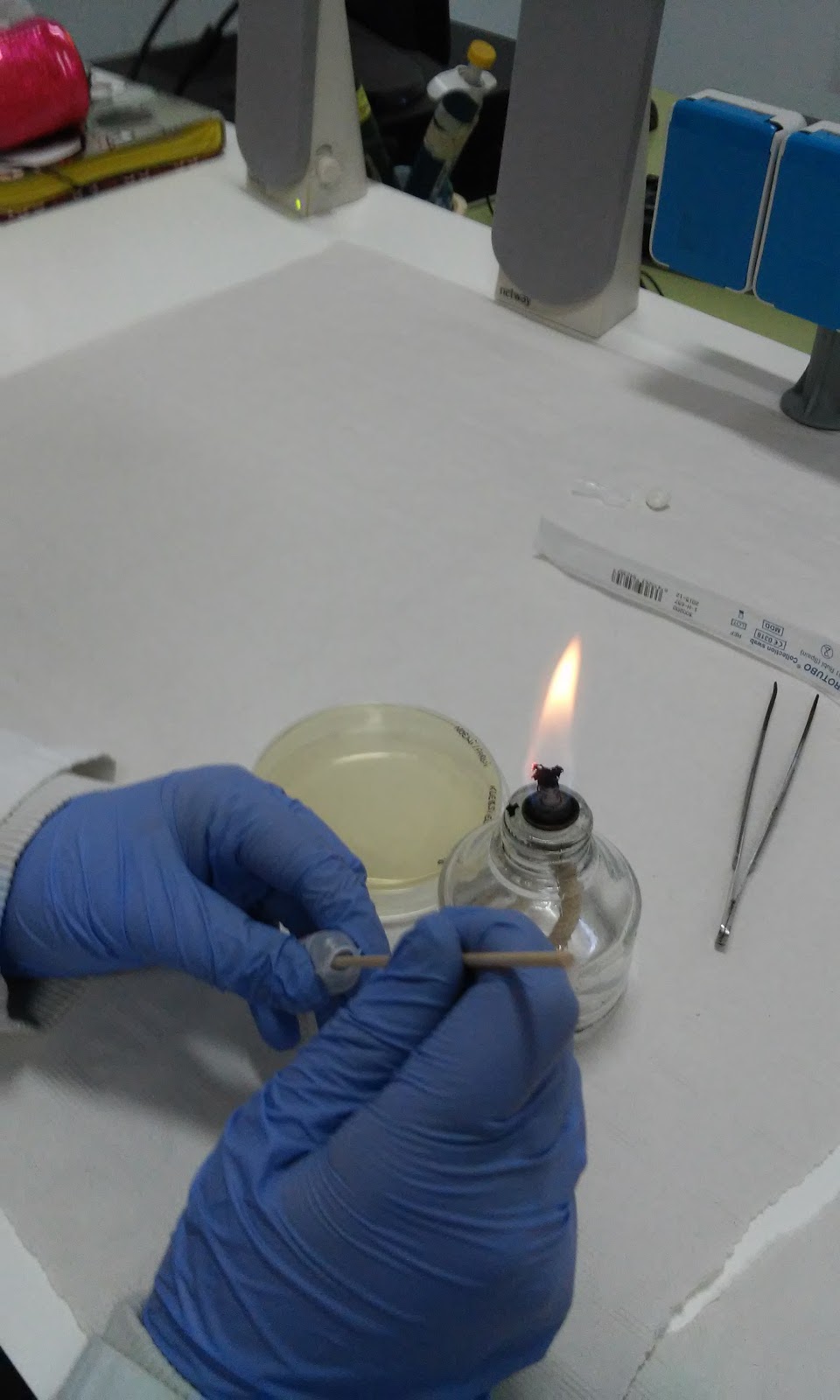 Microbiología MÉTODO KIRBY BAUER