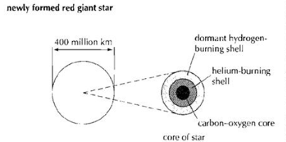 what process causes nucleosynthesis in stars what process causes nucleosynthesis in stars