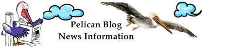 Un pelican care zboara deasupra internetului in cautare de hrana