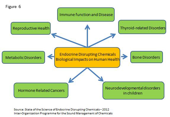 history of fluoride pdf