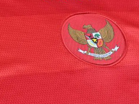 Rekor Pertemuan Indonesia vs Arab Saudi Rekor Pertemuan Indonesia vs Arab Saudi