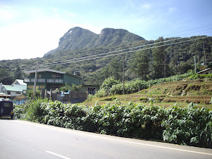 Mount Hakgala 2,169 m (7,116 ft)  as seen from Nuwara Eliya- Badulla highway.