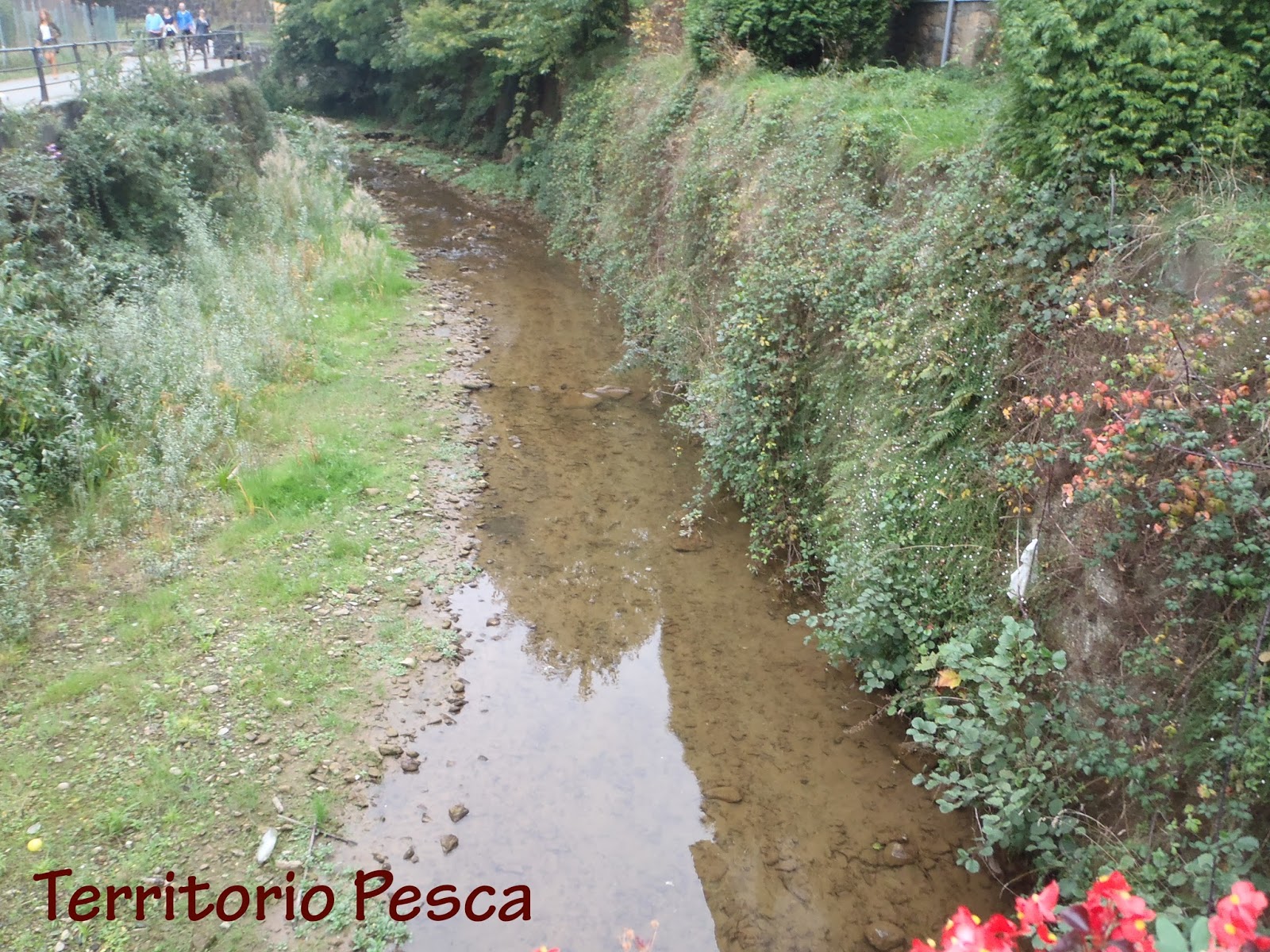 Río San Juan. Territorio Pesca