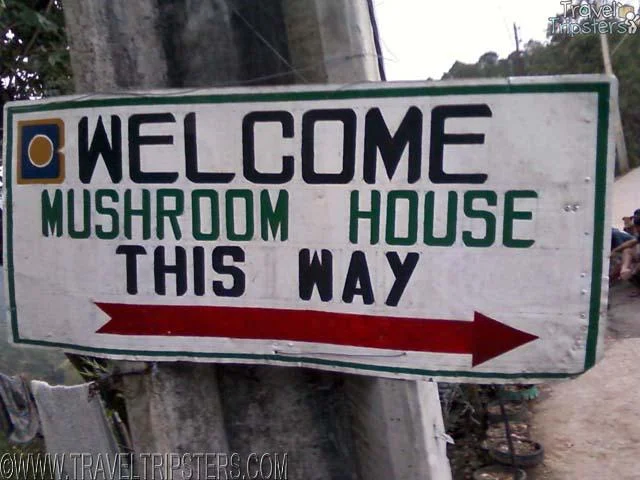 mushroom house