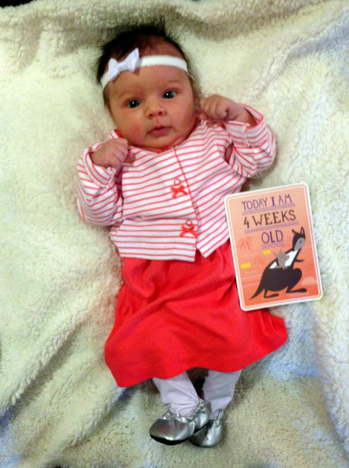 Cobo Avonlea One Month Old