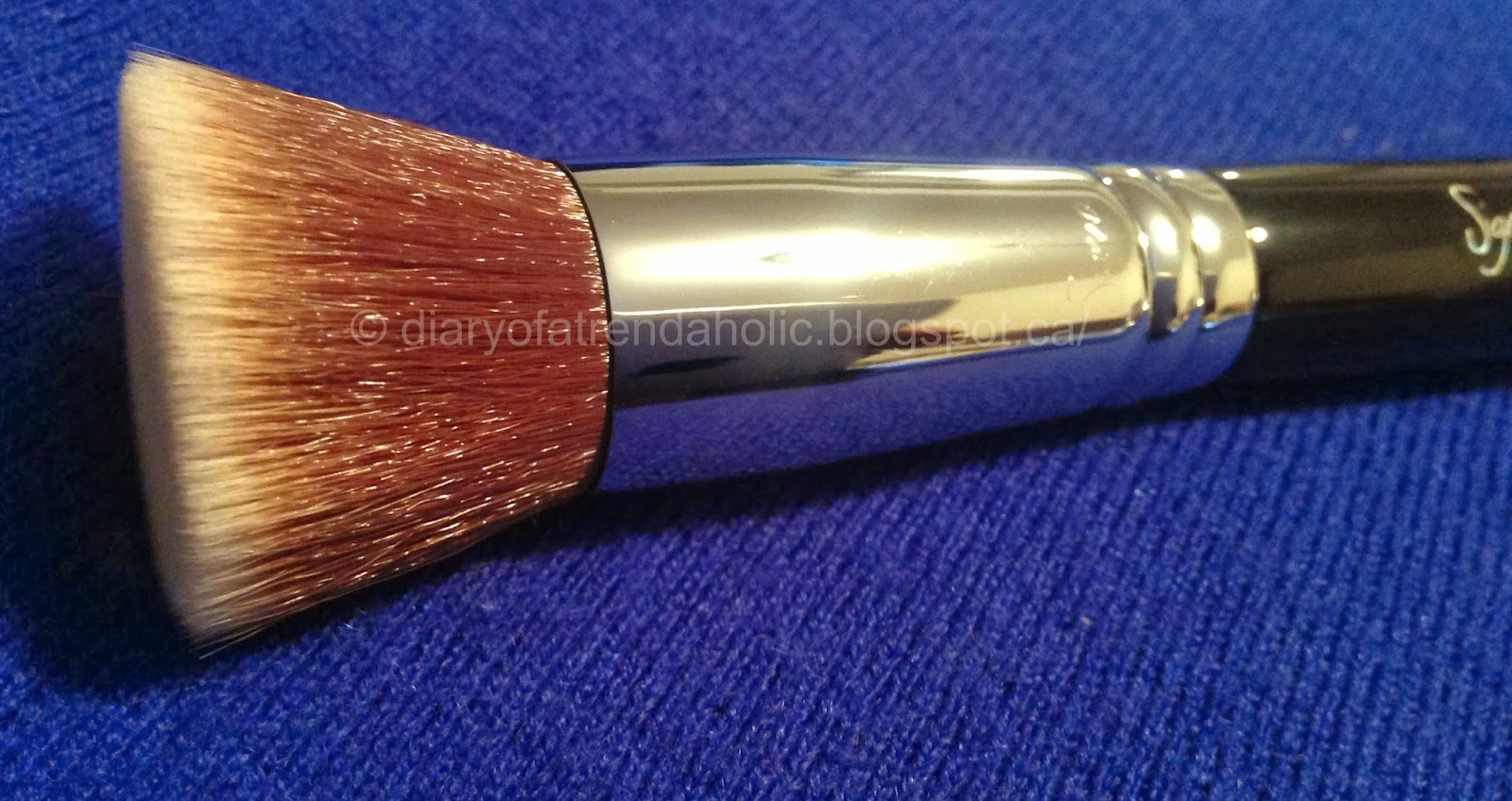 Diary of a Trendaholic Sigma Kabuki Brush Set