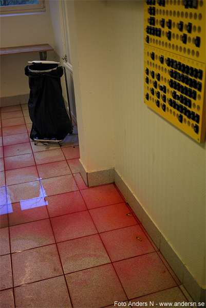 csi, crime scene investigation, crime scene photo, brottsplats sverige, leif gw persson, veckans brott, brottsplatsfoto, blodpöl, mord i tvättstuga, bergsjön, göteborg, foto anders n