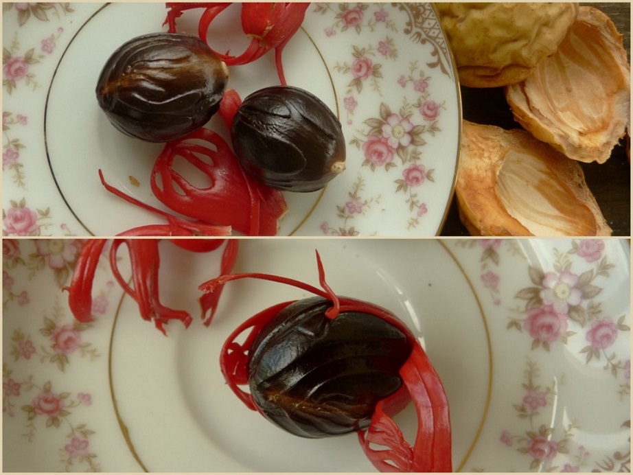 Cottage Life on Pilgrim's Farm Honey and Nutmeg, and Cinnamon...