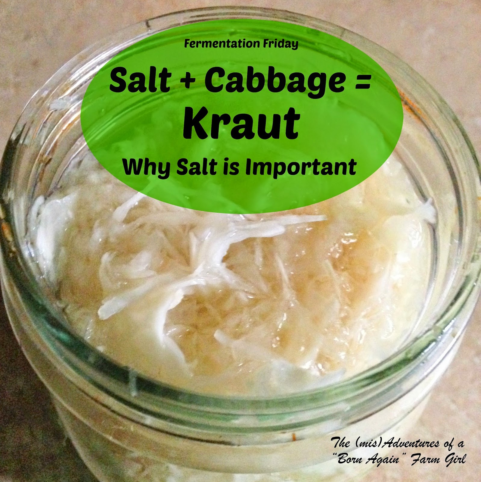 Salt + Cabbage = Kraut, Why Salt is Important The (mis)Adventures of