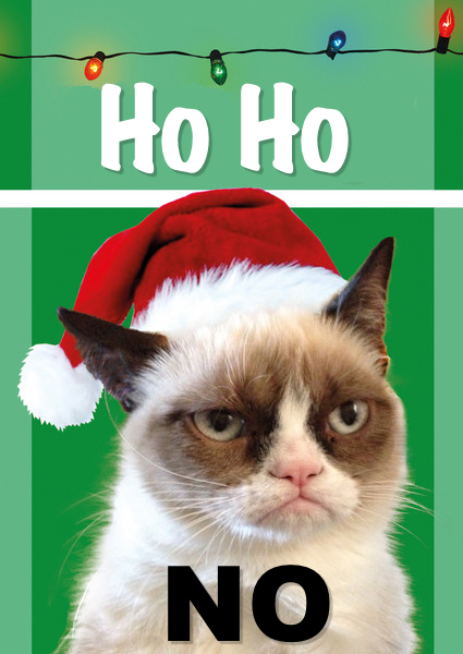 Christmas Grumpy Cat Quotes. QuotesGram
