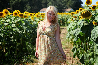 Foxy Moxie Sunflower Field