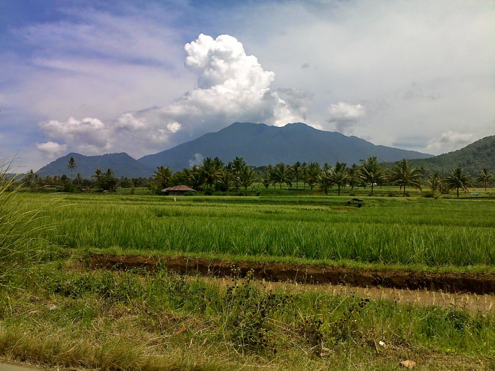 Gunung Sago, Memiliki Panorama Alam Yang Indah