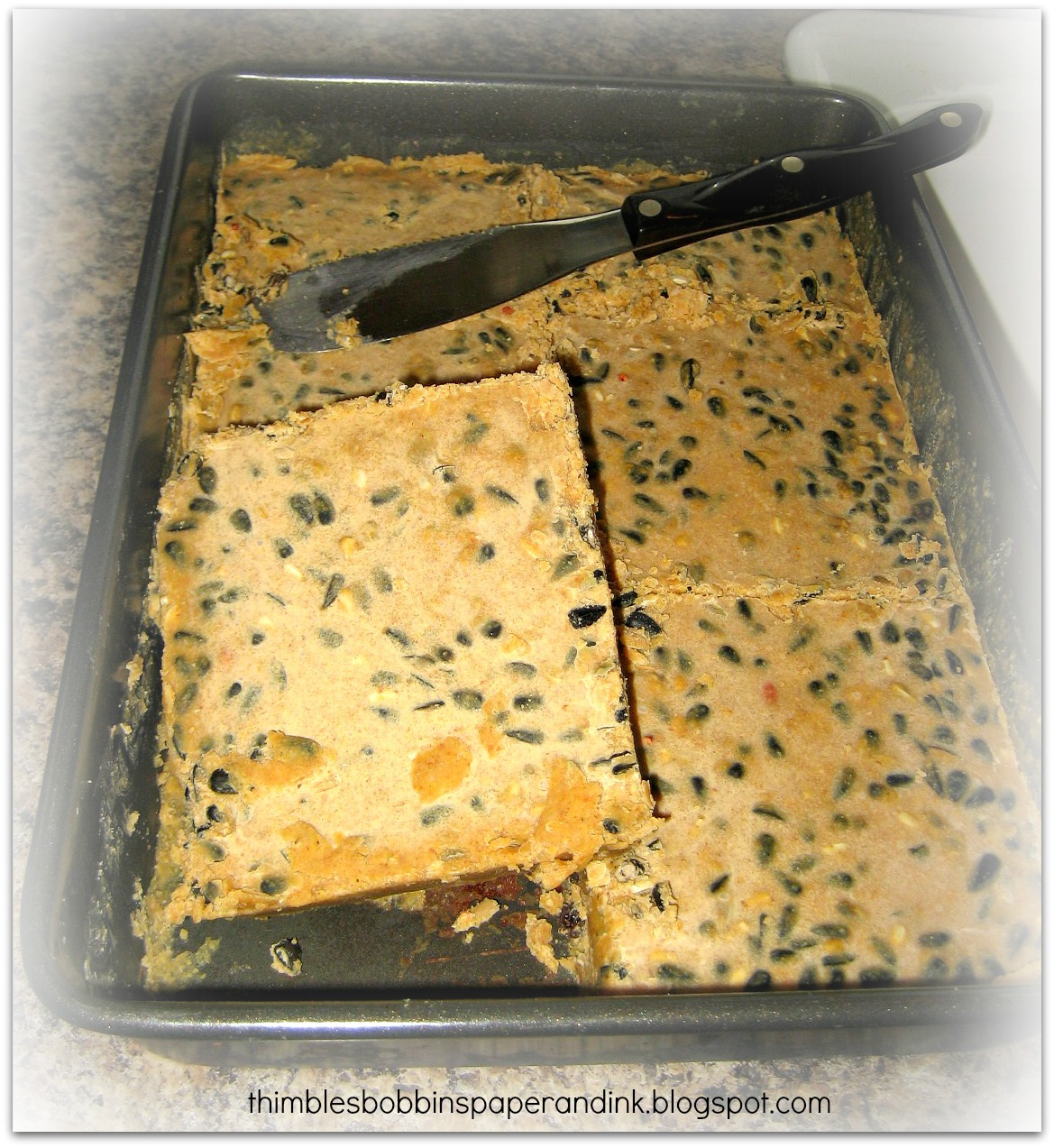 Thimbles, Bobbins, Paper and Ink Homemade Bird Suet