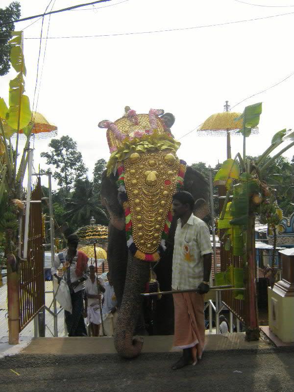 thirunakkara pakalpooram