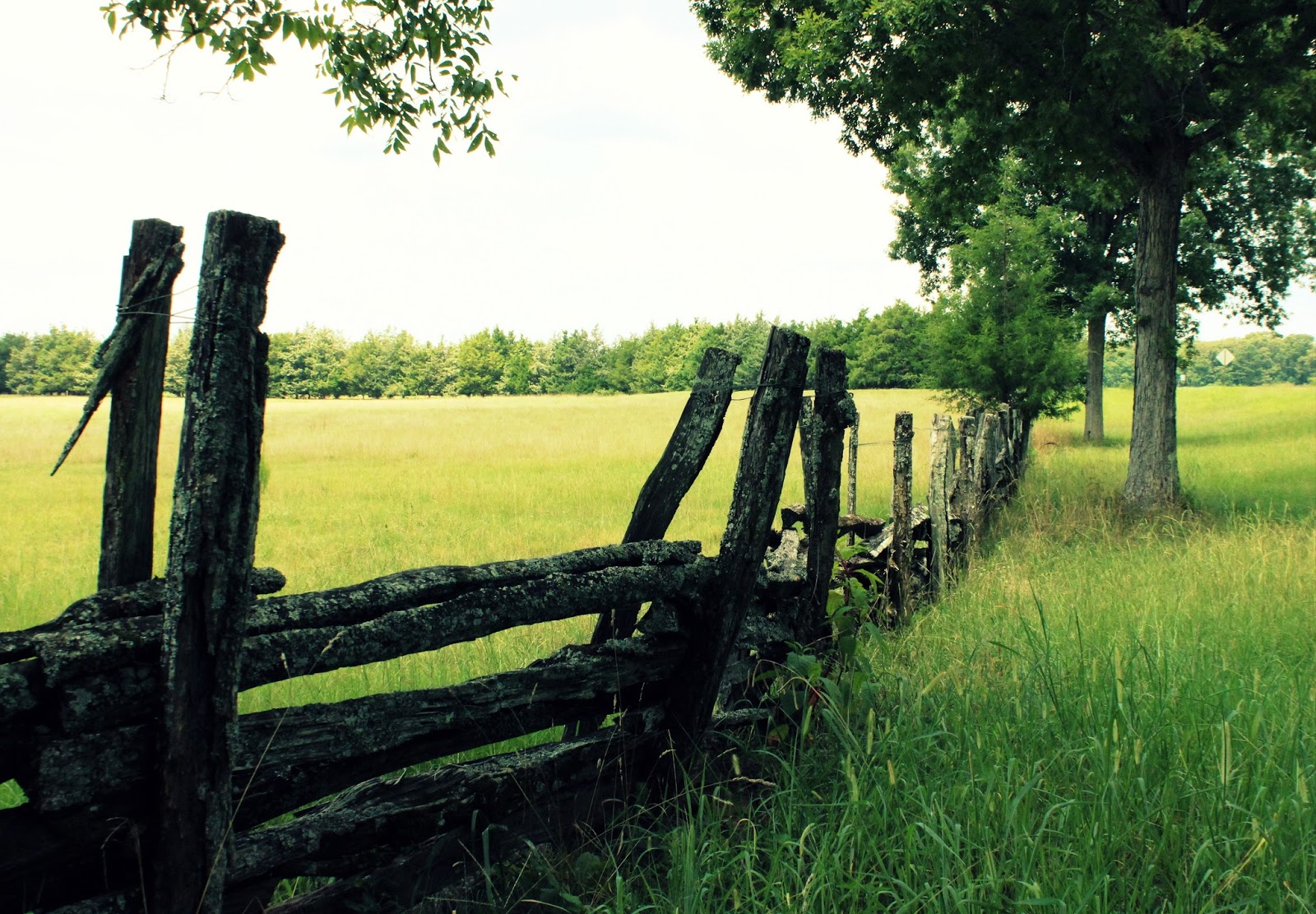 Italian Girl in Rural Road Trip